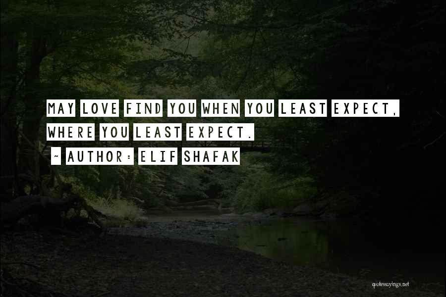 You Least Expect Quotes By Elif Shafak