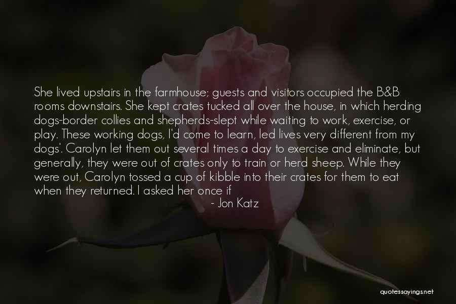 You Left Me Once Quotes By Jon Katz You Left Me Once Quotes By Jon Katz
