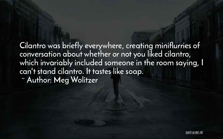 You Like Someone Quotes By Meg Wolitzer