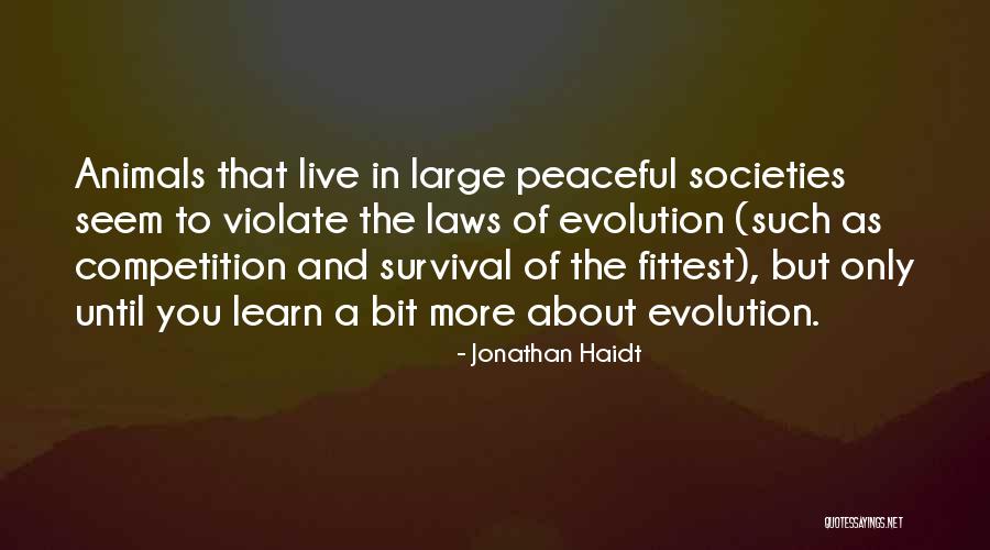 You Live And Learn Quotes By Jonathan Haidt