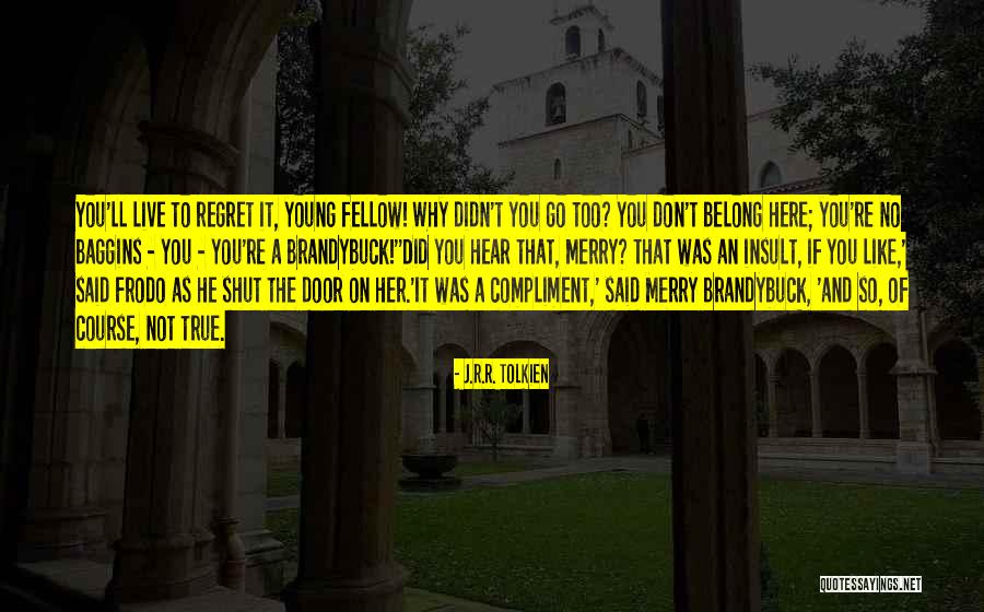 You Ll Regret It Quotes By J.R.R. Tolkien