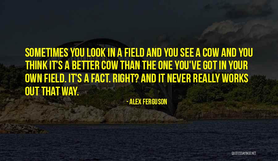 You Look Better Than Quotes By Alex Ferguson You Look Better Than Quotes By Alex Ferguson