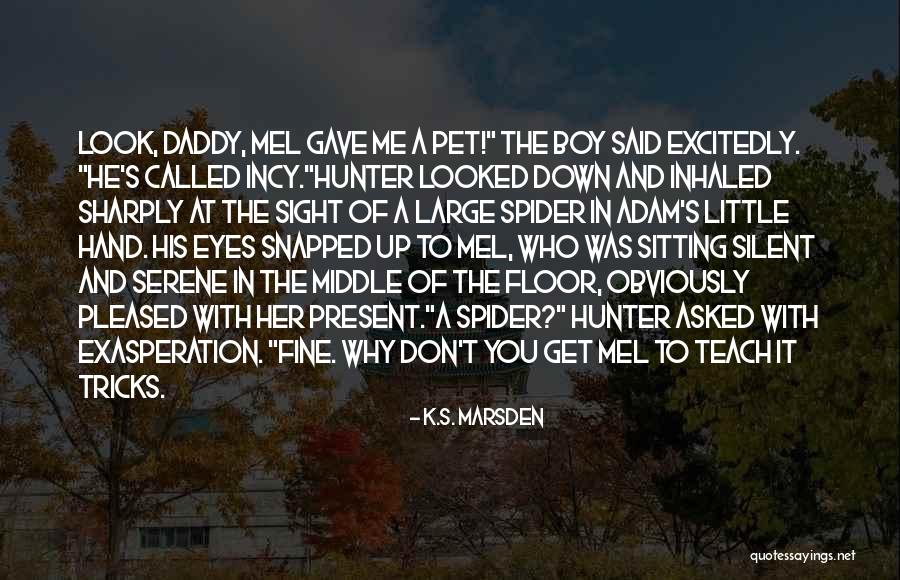 You Look Familiar Quotes By K.S. Marsden You Look Familiar Quotes By K.S. Marsden