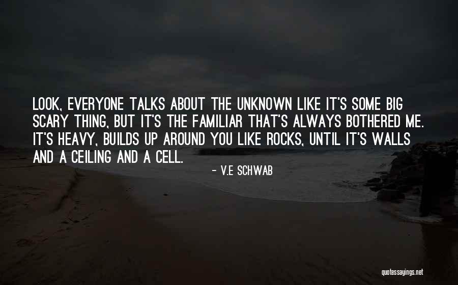 You Look Familiar Quotes By V.E Schwab You Look Familiar Quotes By V.E Schwab