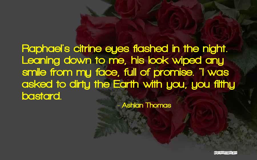 You Look In My Eyes Quotes By Ashlan Thomas