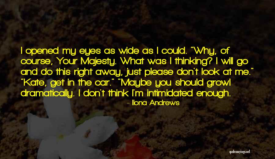 You Look In My Eyes Quotes By Ilona Andrews