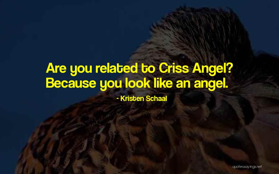 You Look Like Angel Quotes By Kristen Schaal