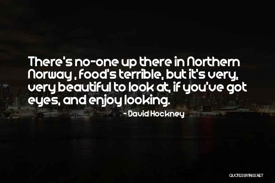 You Look Very Beautiful Quotes By David Hockney