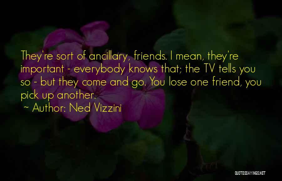 You Lose Friends Quotes By Ned Vizzini