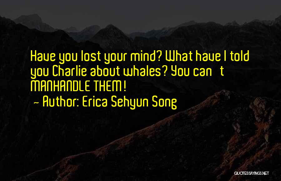You Lost Your Mind Quotes By Erica Sehyun Song