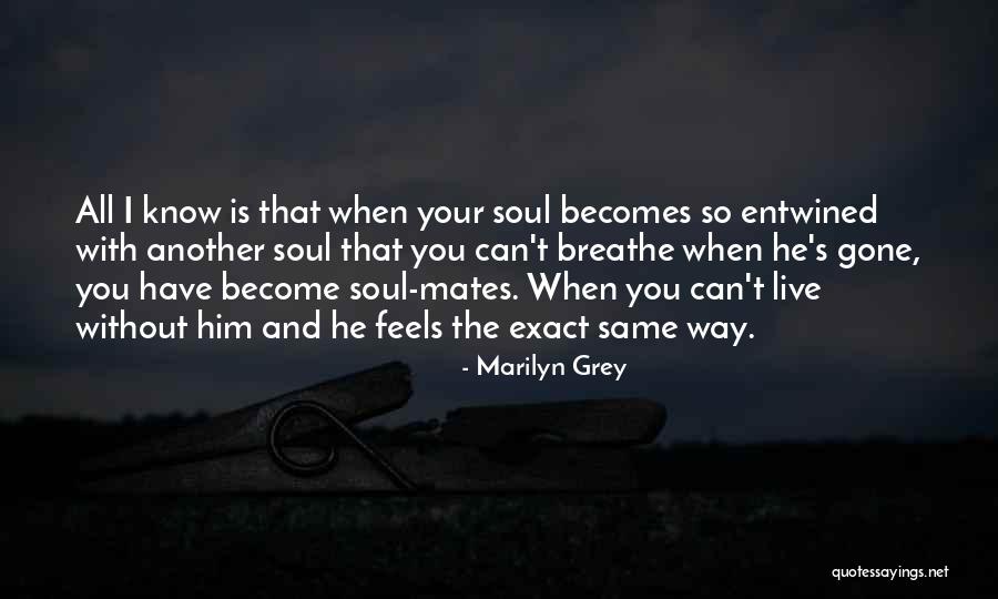 You Love Another Quotes By Marilyn Grey You Love Another Quotes By Marilyn Grey