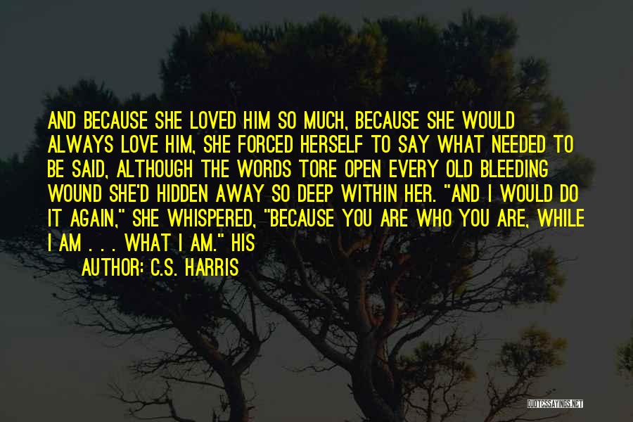 You Love Him So Much Quotes By C.S. Harris