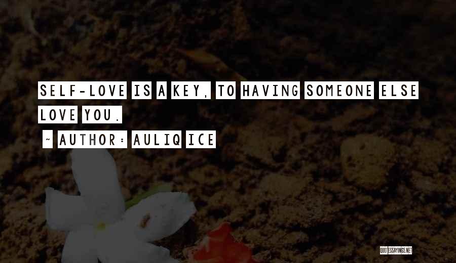 You Love Someone Else Quotes By Auliq Ice