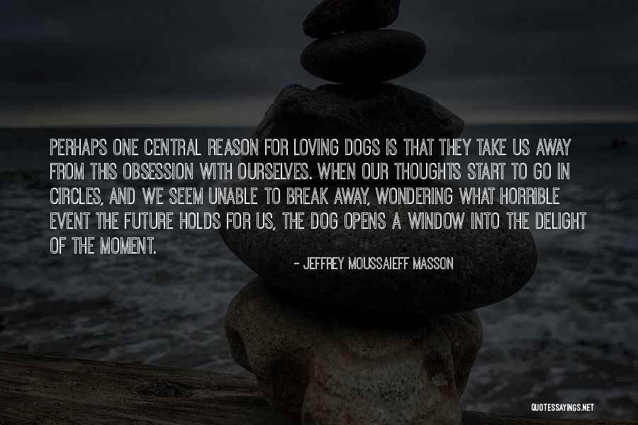You Loving Your Dog Quotes By Jeffrey Moussaieff Masson You Loving Your Dog Quotes By Jeffrey Moussaieff Masson