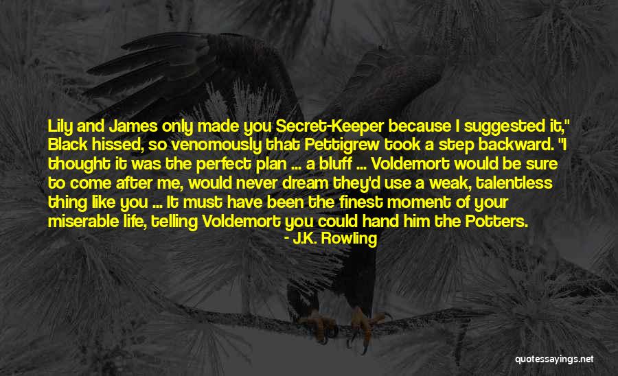 You Made Me Perfect Quotes By J.K. Rowling You Made Me Perfect Quotes By J.K. Rowling