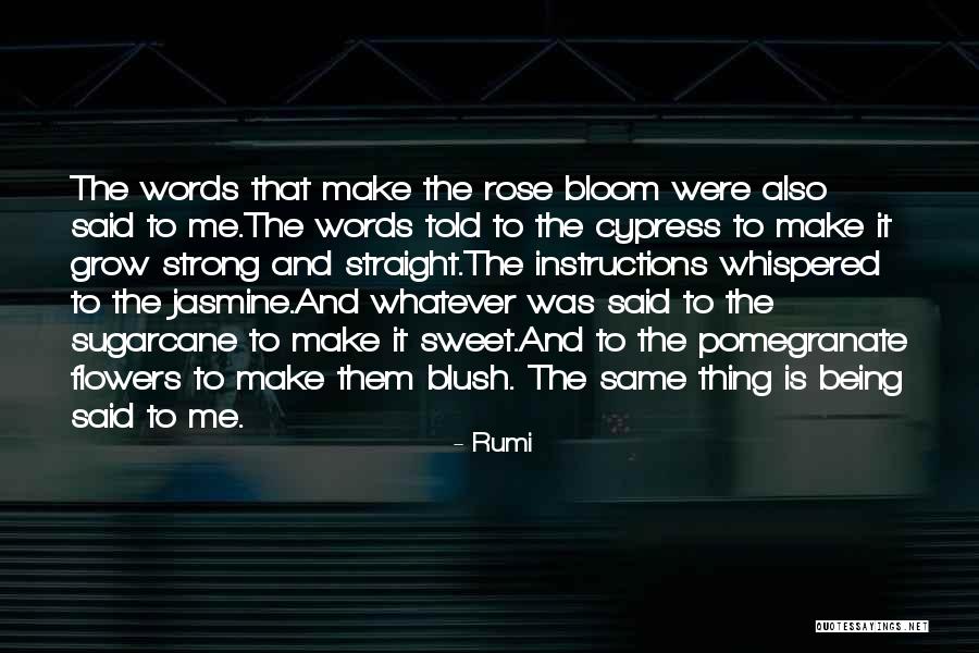 You Make Me Blush Quotes By Rumi You Make Me Blush Quotes By Rumi