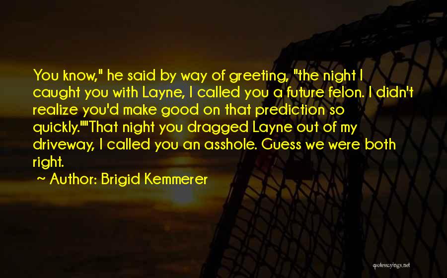 You Make My Night Quotes By Brigid Kemmerer