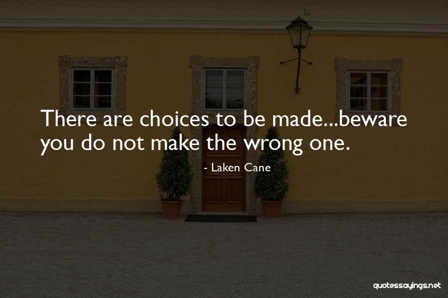 You Make The Choices Quotes By Laken Cane You Make The Choices Quotes By Laken Cane