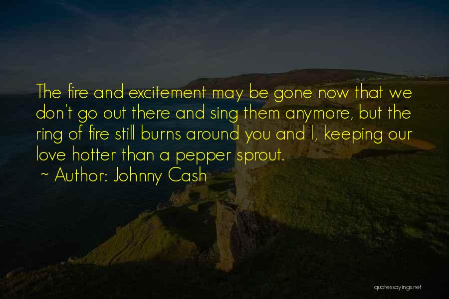 You May Be Gone Quotes By Johnny Cash
