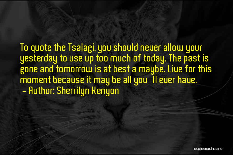 You May Be Gone Quotes By Sherrilyn Kenyon