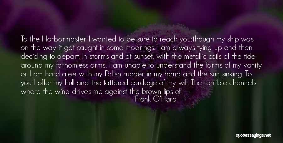 You May Not Understand Me Quotes By Frank O'Hara You May Not Understand Me Quotes By Frank O'Hara