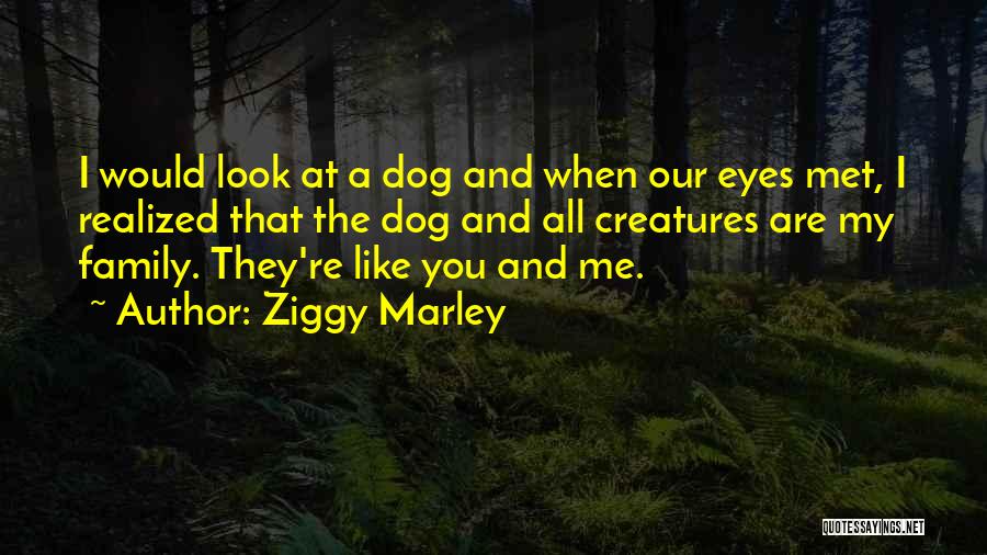 You Me And Marley Quotes By Ziggy Marley