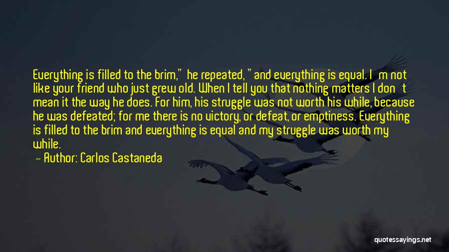 You Mean Everything To Me Best Friend Quotes By Carlos Castaneda