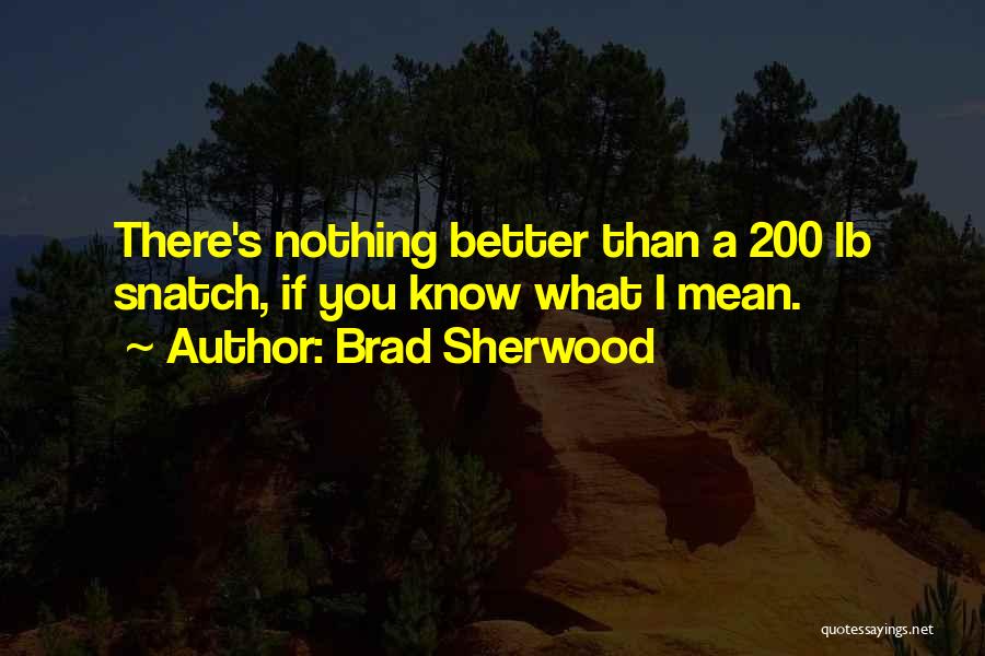 You Mean Nothing Quotes By Brad Sherwood