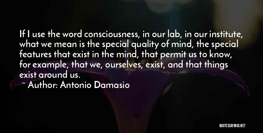 You Mean Something Special To Me Quotes By Antonio Damasio