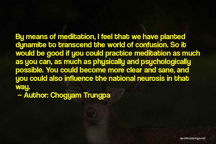 You Mean The World Quotes By Chogyam Trungpa