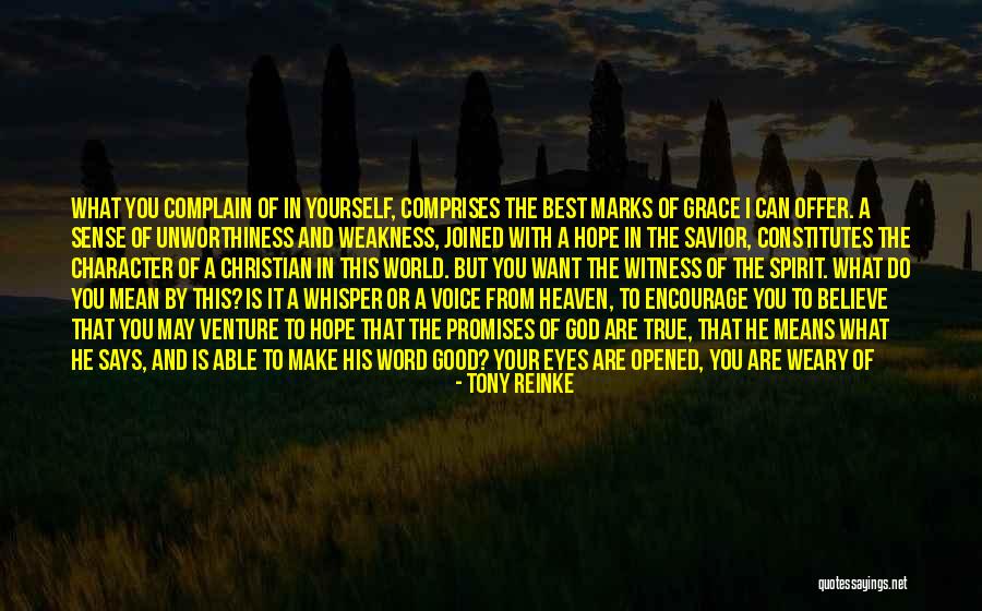 You Mean The World To Me My Love Quotes By Tony Reinke You Mean The World To Me My Love Quotes By Tony Reinke