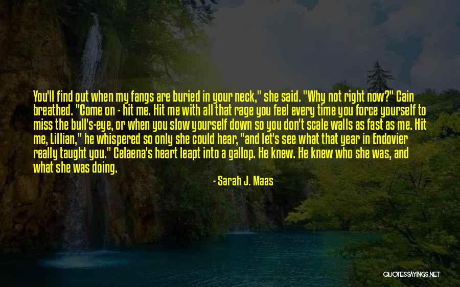 You Miss Me Now Quotes By Sarah J. Maas You Miss Me Now Quotes By Sarah J. Maas