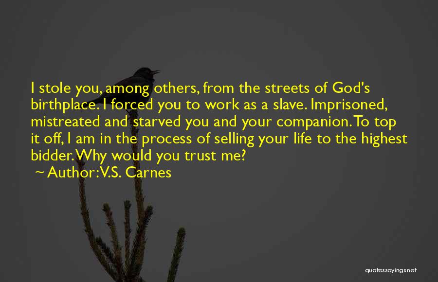 You Mistreated Me Quotes By V.S. Carnes