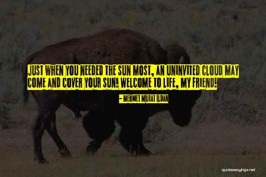 You Most Welcome Quotes By Mehmet Murat Ildan You Most Welcome Quotes By Mehmet Murat Ildan
