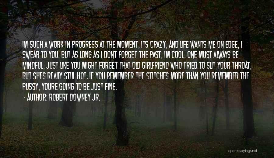 You Must Forget The Past Quotes By Robert Downey Jr.