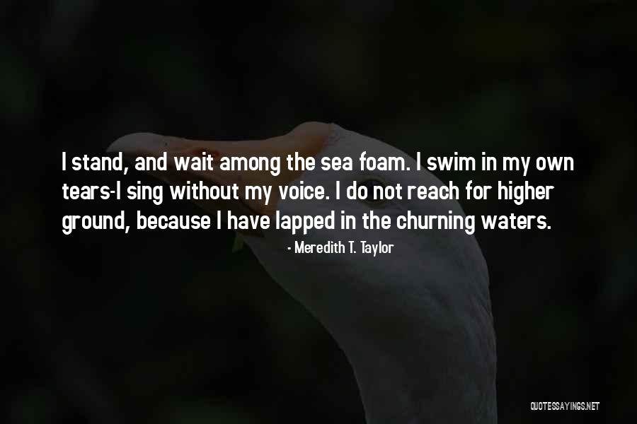 You Must Love Yourself First Quotes By Meredith T. Taylor You Must Love Yourself First Quotes By Meredith T. Taylor