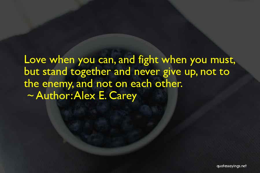 You Must Never Give Up Quotes By Alex E. Carey
