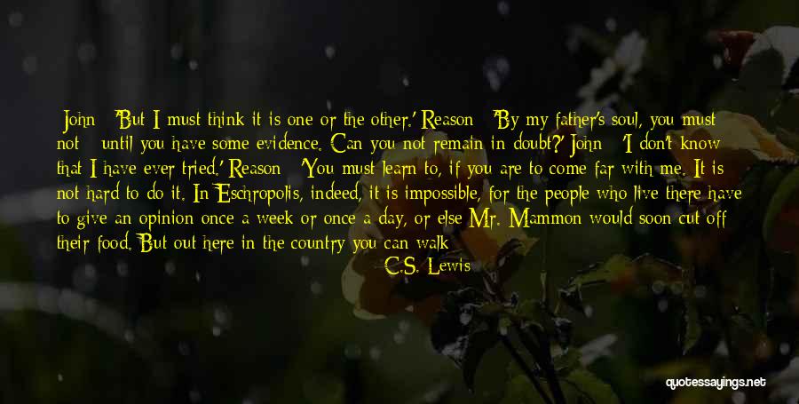 You Must Never Give Up Quotes By C.S. Lewis You Must Never Give Up Quotes By C.S. Lewis