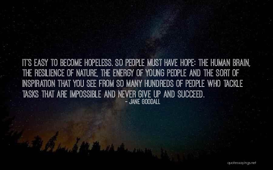 You Must Never Give Up Quotes By Jane Goodall You Must Never Give Up Quotes By Jane Goodall
