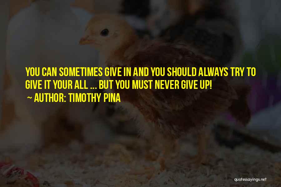 You Must Never Give Up Quotes By Timothy Pina