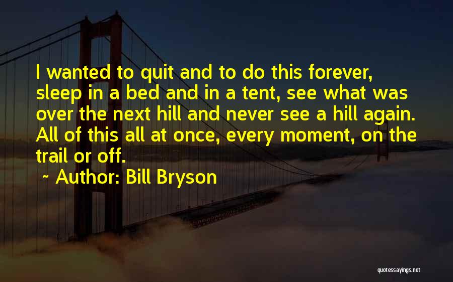 You Must Not Quit Quotes By Bill Bryson