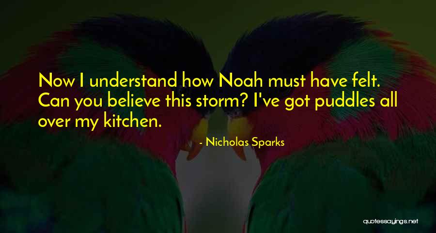 You Must Understand Quotes By Nicholas Sparks