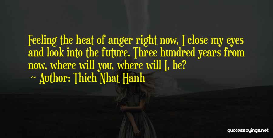 You My Future Quotes By Thich Nhat Hanh