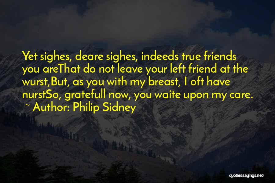 You My True Friend Quotes By Philip Sidney