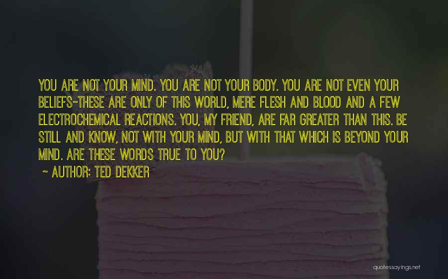 You My True Friend Quotes By Ted Dekker