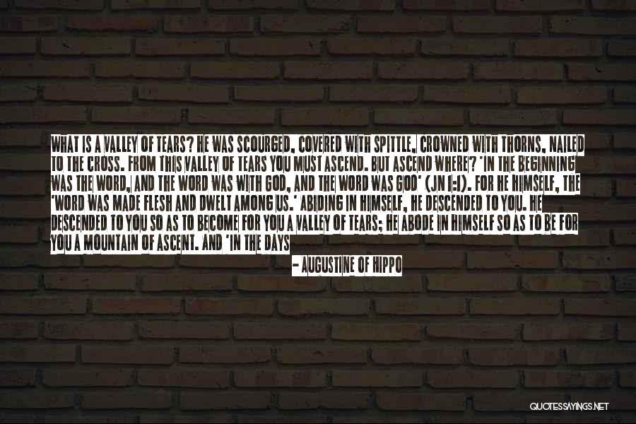 You Nailed It Quotes By Augustine Of Hippo You Nailed It Quotes By Augustine Of Hippo