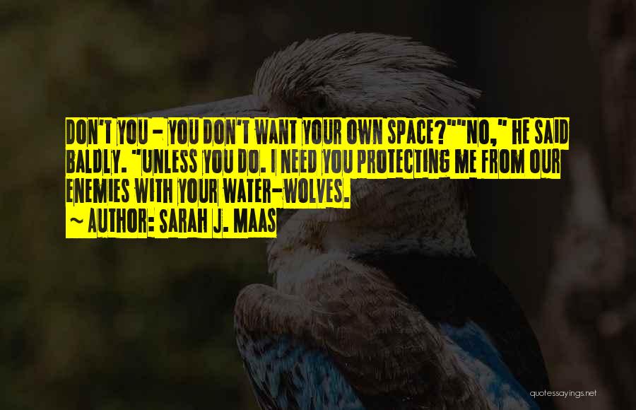 You Need Your Space Quotes By Sarah J. Maas