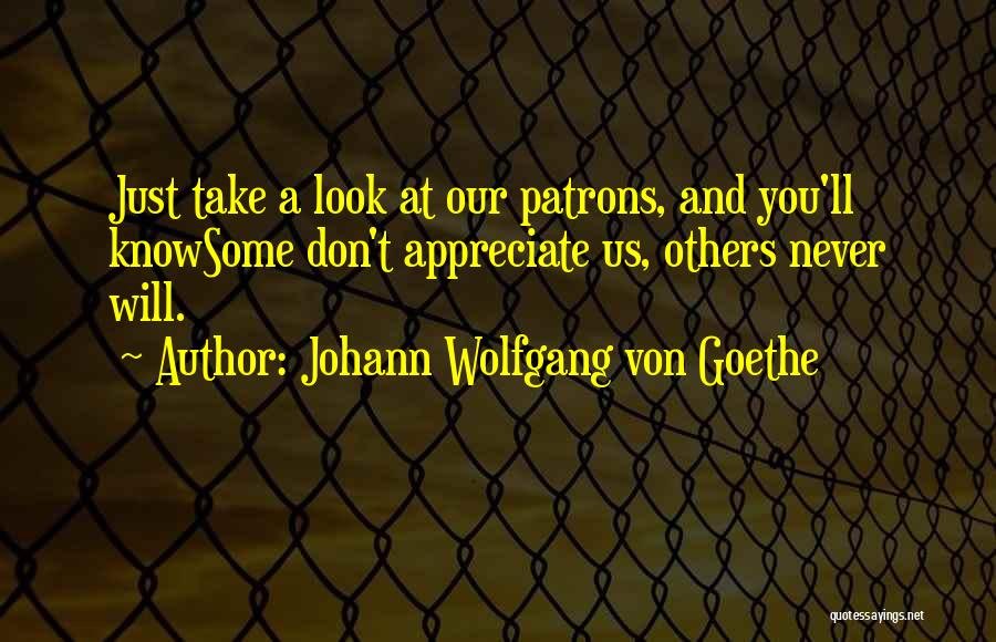 You Never Appreciate Something Until It's Gone Quotes By Johann Wolfgang Von Goethe