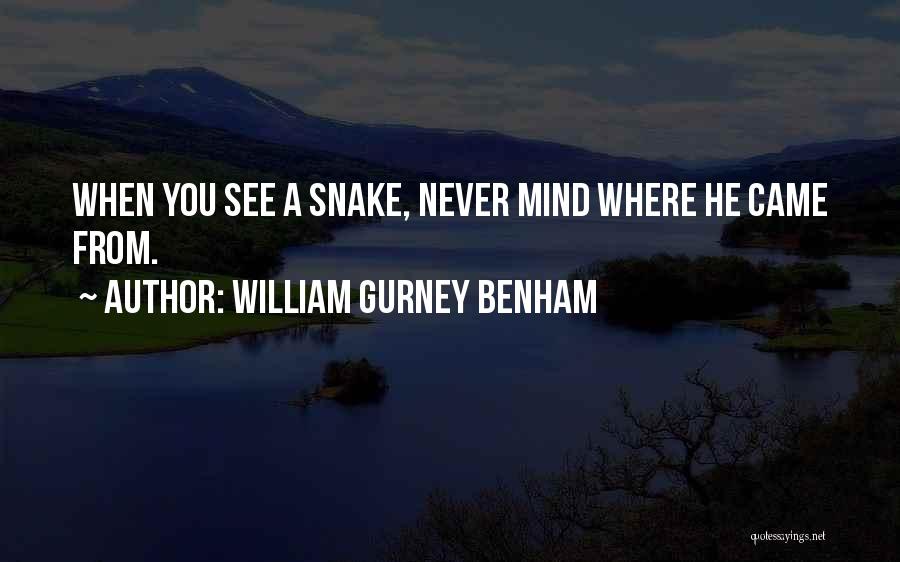 You Never Came Quotes By William Gurney Benham