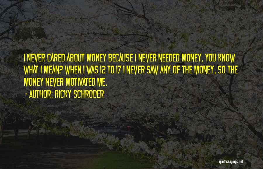 You Never Cared About Me Quotes By Ricky Schroder